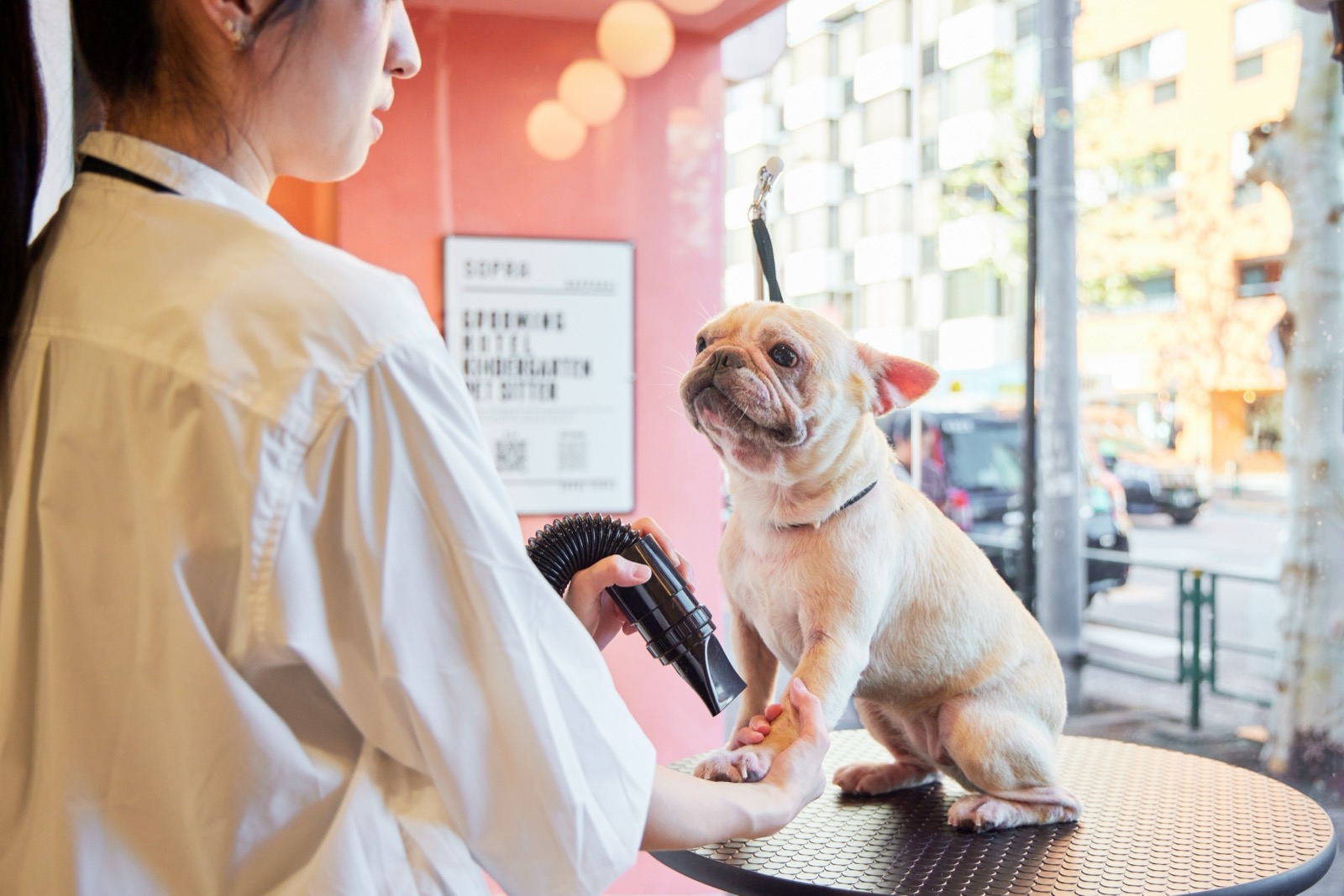 PETSALON SOPRA