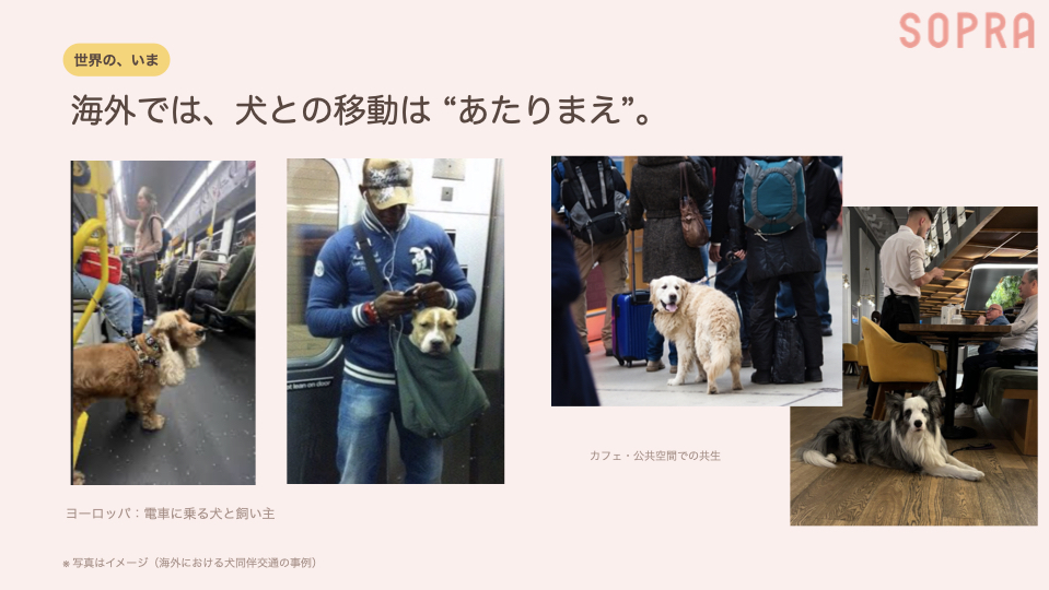 海外では、犬との移動は